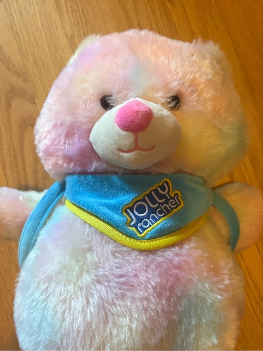 Jolly Rancher Pastel Rainbow Plush Bear with Blue Book Bag Scarf Backpack